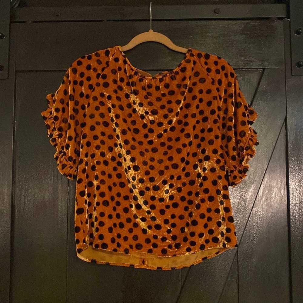 Velvet speckle blouse